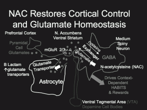 N-acetylcysteine Restores Cortical Control and Glutamate Homeostasis