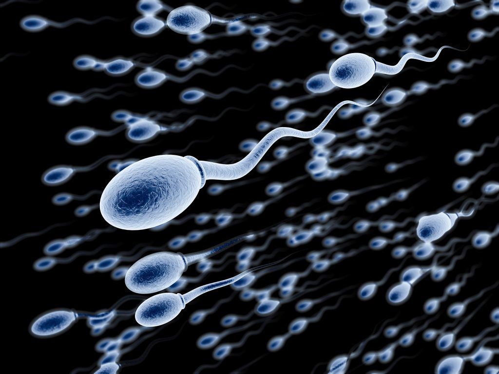 Sperm sur visage