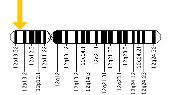 location of the CACNA1C gene